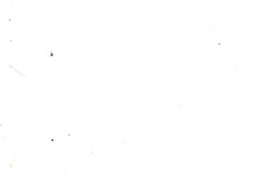 Image 50